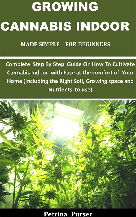 Growing Cannabis Indoor Made Simple For Beginners Complete Step By