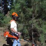 Landscape Maintenance Idaho Firewise