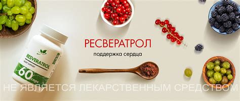 РЕСВЕРАТРОЛ: СВОЙСТВА, ОСОБЕННОСТИ