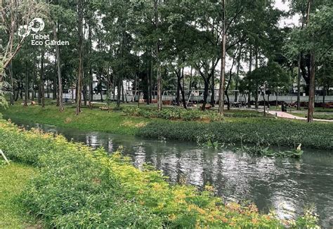 Tebet Eco Park Taman Kota Ini Bisa Jadi Rekomendasi Tempat Bersantai