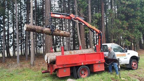 Why DIY Stump Removal Might Not Be Worth the Hassle - My Hauler With Claw