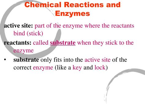 Ppt Enzymes Powerpoint Presentation Free Download Id2568854