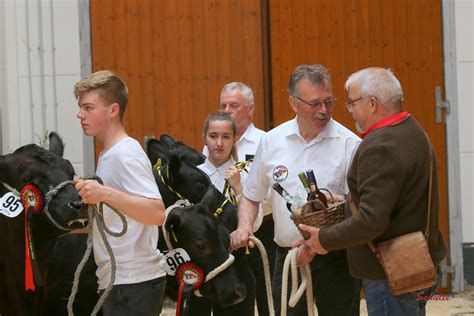 Angus Bundesschau Laasdorf Drittplatzierte Mit Weinehrenpreis