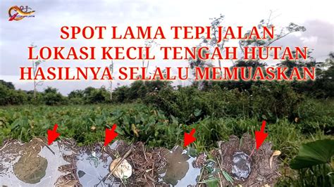 Spot Lama Tengah Hutan Mancing Belut Sebentar Hasilnya Cukup Memuaskan