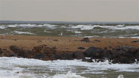 Stormy Sea Lashing Against Sandy Shores Waves Crash Over Rocks Spray