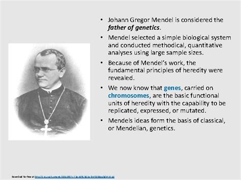 Chapter 12 Mendels Experiments And Heredity General Biology