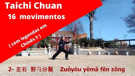 Tai Chi Chuan Para Iniciantes 16 Movimentos Legendas YouTube