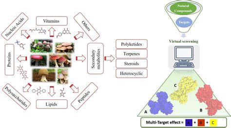 Molecules Free Full Text Chemoinformatic Database Building And In