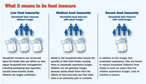 What Is Food Insecurity Food Security Artofit