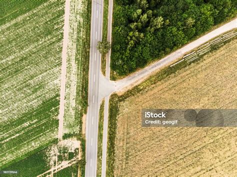 Abstract Vertical Aerial View Of The Branch Of A Path From A Country