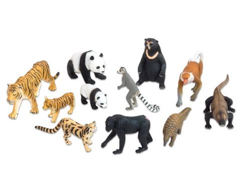 Animale Din Asia Realistice