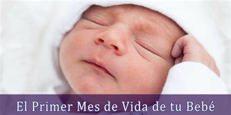 El Primer Mes De Vida De Tu Bebé Tu Maternidad