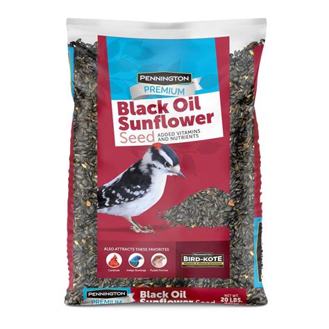 Pennington 20 Lbs Premium Black Oil Sunflower Bird Seed 100542057 The Home Depot