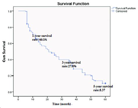 Kaplan Meier Chart Year Survival Rate Of Hepatocellular