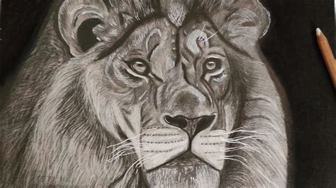 Easy Lion Pencil Drawing Step By Step Tutorial Drawing