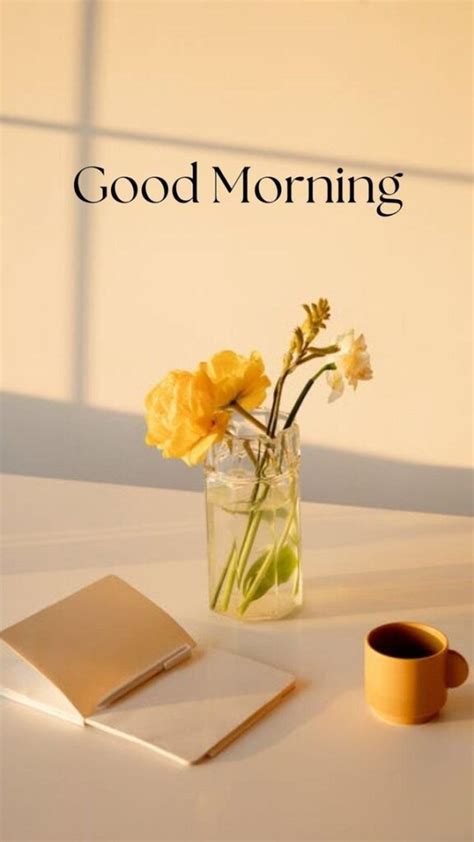 75 Best Positive Good Morning Quotes and Images - Dreams Quote