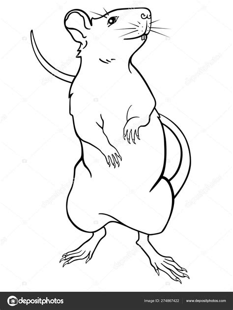 Rat Symbol 2020 Stands Its Hind Legs Rat Mouse Linear Stock Vector by ...