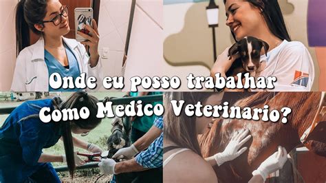 O Que Posso Fazer Como M Dico Veterin Rio Vetsemfronteiras Youtube