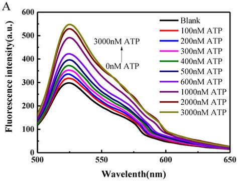 A Label Free Fluorescent Dna Machine For Sensitive Cyclic Amplification Detection Of Atp