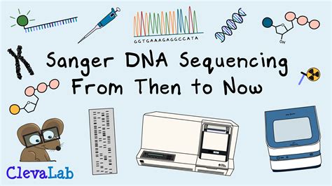 Sanger Dna Sequencing From Then To Now