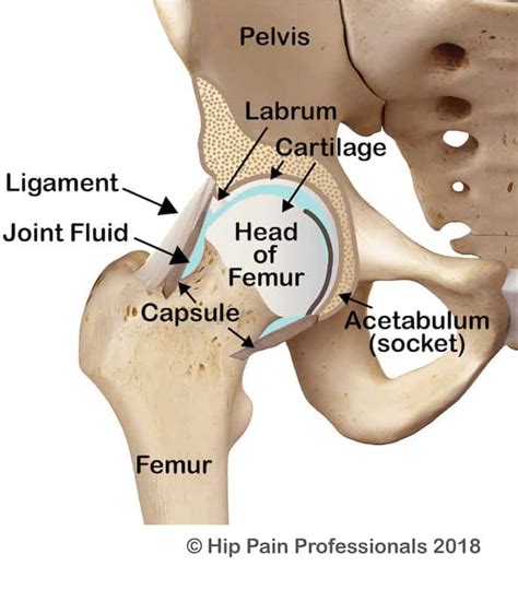 Hip Replacement Surgery Alternatives - Dr. Dennis Lox Stem Cell Therapy