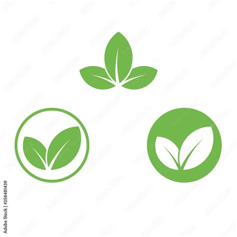 Vegan Icon Green Leaf Label Template For Vegan Or Vegetarian Food