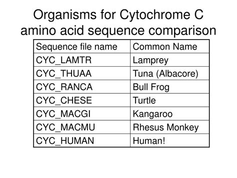 Ppt Phylogenetic Trees From Amino Acid Sequences Powerpoint