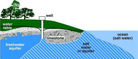 Saltwater Intrusion General Aquifer Storage And Recovery Asr