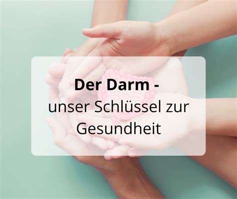 Unser Darm Der Schl Ssel Zur Gesundheit Typgerechte Ern Hrungsberatung