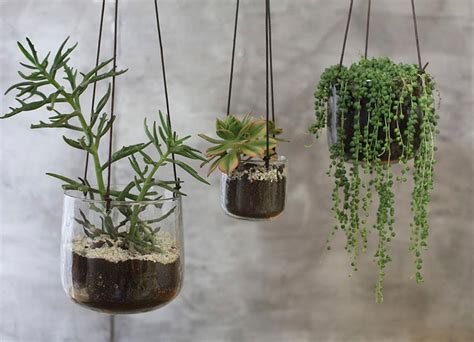 Cache Pots Et Suspensions Design Pour Des Plantes Du Sol Au Plafond