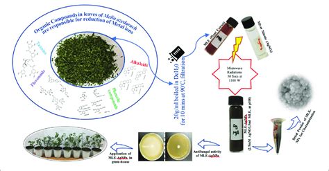 Graphical Representation For Green Synthesis Of Silver Nanoparticles