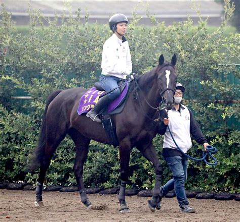 【注目馬動向】毎日王冠2着のソングラインが放牧へ 林調教師「レース後も特に問題ありません」 Umatoku 馬トク