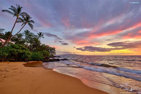 Palmy Plaża Stany Zjednoczone Hawaje Morze Chmury Maui Zachód słońca