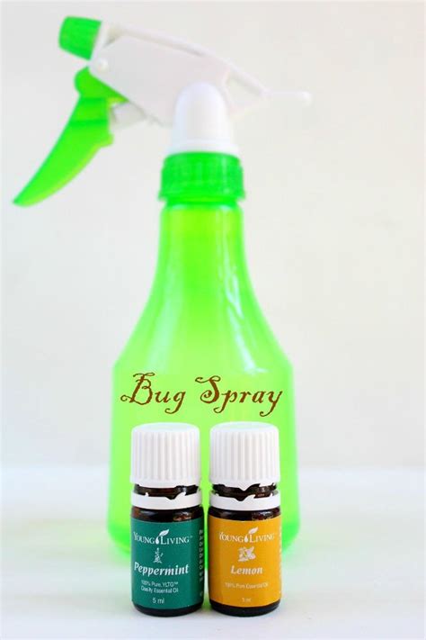 Homemade Bug Spray | DIYIdeaCenter.com