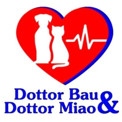 Dottor Bau Dottor Miao A Podcast On Spotify For Podcasters