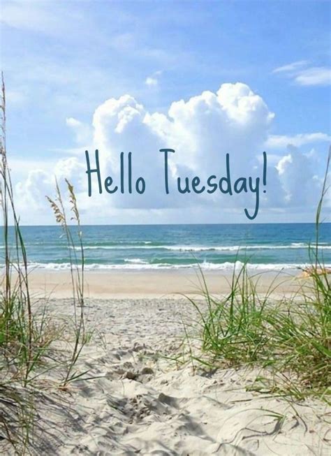 Happy Tuesday Coastal Lovers ~ Hello Tuesday Tuesday Quotes Happy