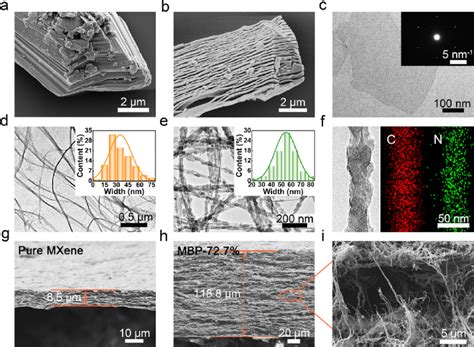 SEM Images Of A Ti 3 AlC 2 MAX Powder And B Multilayered Ti 3 C 2 T