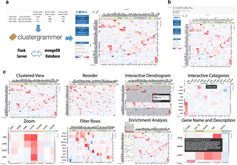 Clustergrammer Web App Jupyter Widget And Interactivity A Users Can