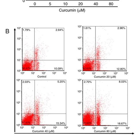 Curcumin Inhibits Proliferation And Induces Apoptosis In Hepatocellular