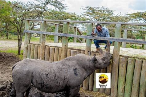 1 Day Ol Pejeta Conservancy Safari