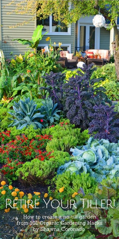 A Garden Filled With Lots Of Different Types Of Flowers And Plants In