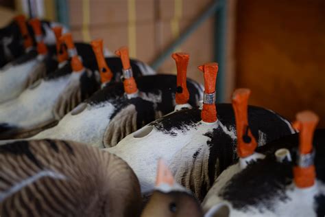 Img Dave Smith Decoys Flickr