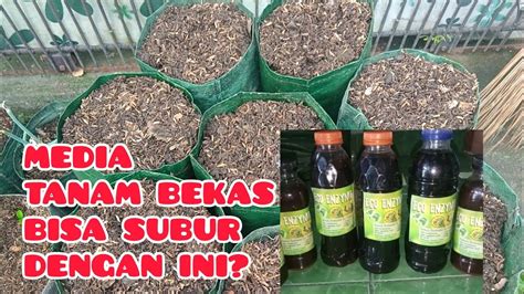 Cara Membuat Media Tanam Bekas Subur Kembali Dengan Eco Enzyme