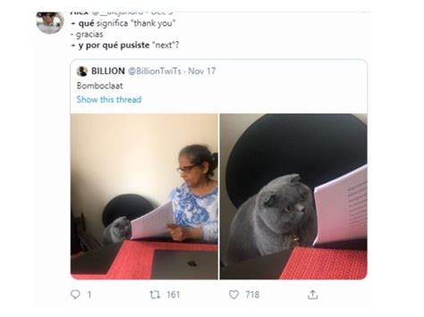 Los Mejores Memes Del Gato Rega Ado Por La Respuesta De Su Examen