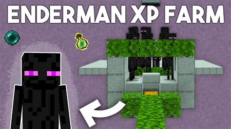 Enderman Xp Farm In Minecraft Bedrock Youtube