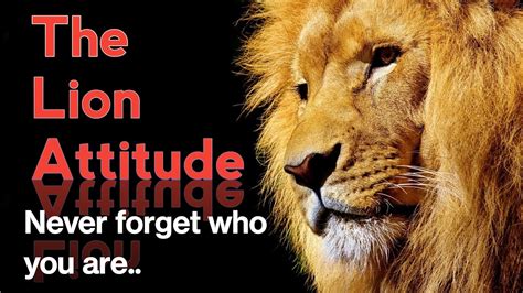 Lion Attitude Status Attitude Powerful Lion Quotes YouTube