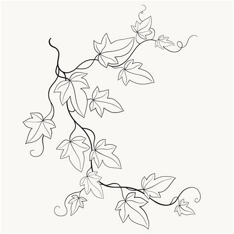 Floral Ivy Drawing Decorative Ornament Flat Design Vector Art