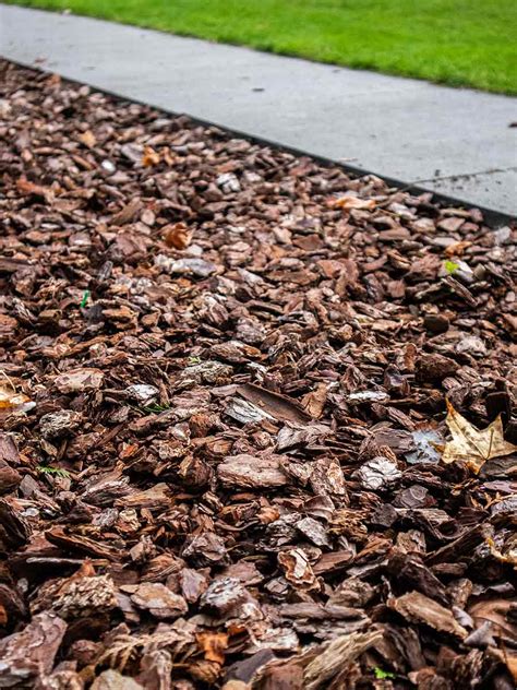 Boomschors Frans Kopen Dennenschors Voor De Tuin Per Kuub Geleverd