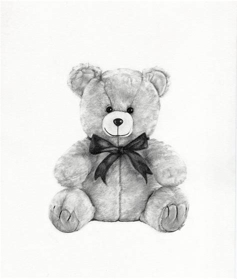 Realistic Teddy Bear Drawing