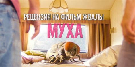Фильм Жвалы (2020), читать описание и смотреть онлайн трейлеры на filmz.ru